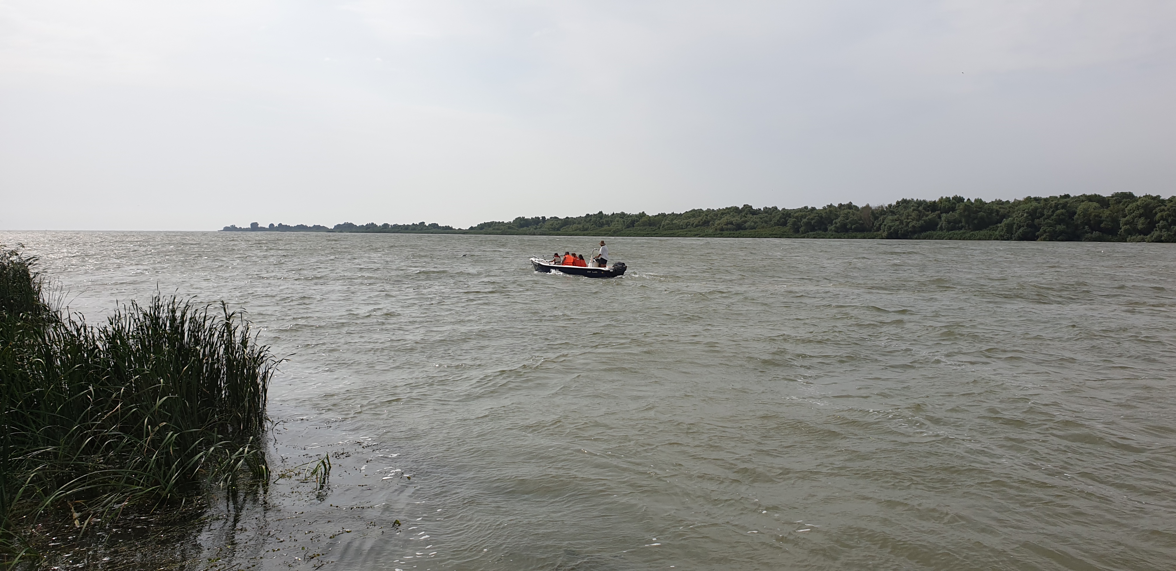 Dupa ploaie - Delta Dunarii